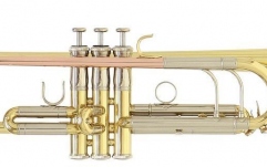 Trompeta Roy Benson TR-402