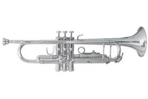 Parrot 6416-S Trumpet