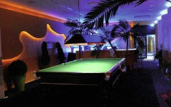 Tub LED flexibil pentru iluminat decorativ galben Eurolite RUBBERLIGHT LED RL1-230V yellow 44m