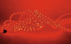 Tub luminos Eurolite RUBBERLIGHT RL1-230V red 9m