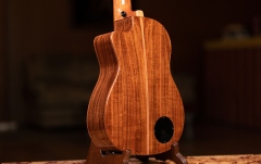 Ukulele Bas Ortega Lizard Ukulele Bass Baritone + Bag