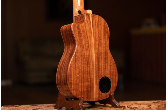Ukulele Bas Ortega Lizard Ukulele Bass Baritone + Bag