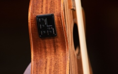 Ukulele Bas Ortega Lizard Ukulele Bass Baritone + Bag