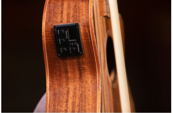 Ukulele Bas Ortega Lizard Ukulele Bass Baritone + Bag