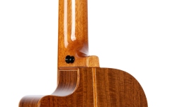 Ukulele Bas Ortega Lizard Ukulele Bass Baritone + Bag