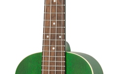 Ukulele concert Ortega Earth Series Concert Ukulele - Forest Green Acoustic