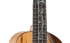 Ukulele concert Ortega Elite Series Concert Ukulele 4 String - solid spalted Maple top + Bag