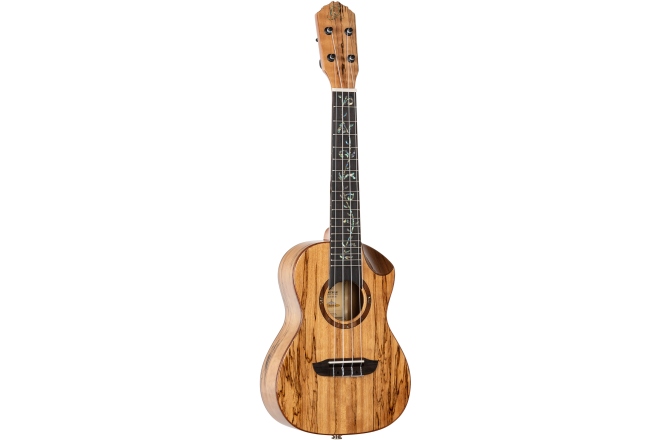 Ukulele concert Ortega Elite Series Concert Ukulele 4 String - solid spalted Maple top + Bag