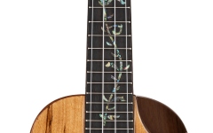 Ukulele concert Ortega Elite Series Concert Ukulele 4 String - solid spalted Maple top + Bag