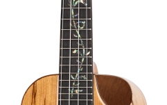 Ukulele concert Ortega Elite Series Concert Ukulele 4 String - solid spalted Maple top + Bag