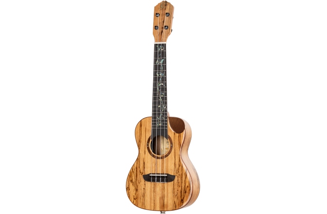 Ukulele concert Ortega Elite Series Concert Ukulele 4 String - solid spalted Maple top + Bag
