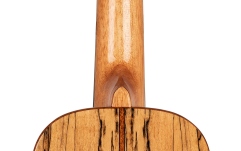 Ukulele concert Ortega Elite Series Concert Ukulele 4 String - solid spalted Maple top + Bag