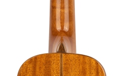 Ukulele concert Ortega Ukulele Eclipse Series