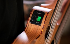 Ukulele cu Gât Dublu Ortega Custom Double Neck Ukulele HYDRA