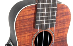 Ukulele sopran Ovation  electro-acustic Celebrity Traditional Plus Natural Koa