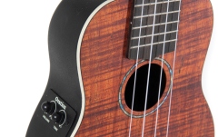 Ukulele sopran Ovation  electro-acustic Celebrity Traditional Plus Natural Koa