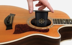 Umidificator Daddario Acoustic Guitar Humidifier