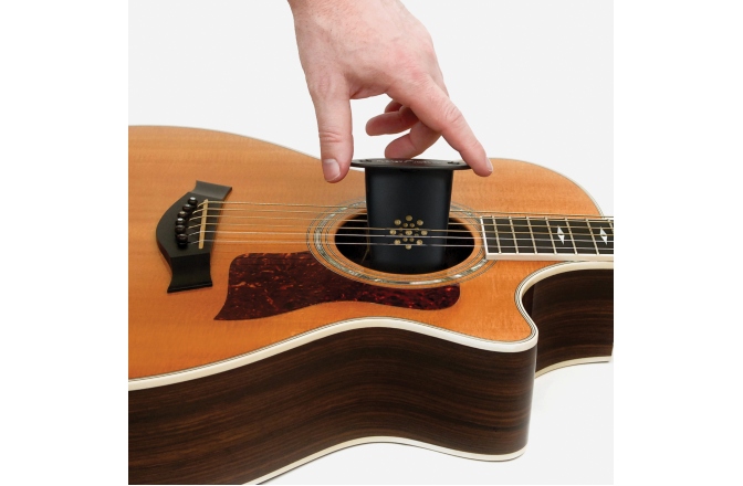 Umidificator Daddario Acoustic Guitar Humidifier