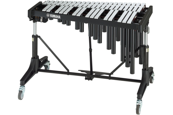 YV 2030 MS