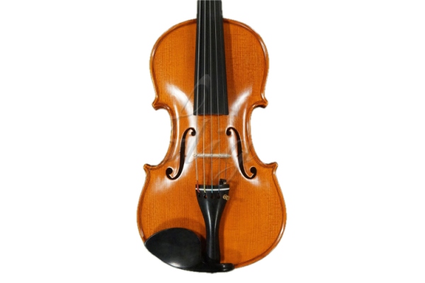 Vioara 4/4 Gama (profesional) cu 5 corzi Vioara 4/4 Gama (profesional) cu 5 corzi