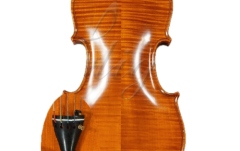 Vioară 4/4 cu 5 corzi Gliga Vioara 4/4 Gama (profesional) cu 5 corzi