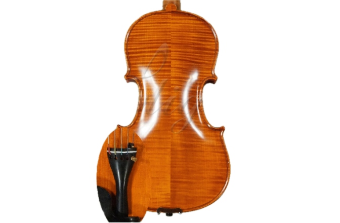 Vioară 4/4 cu 5 corzi Gliga Vioara 4/4 Gama (profesional) cu 5 corzi