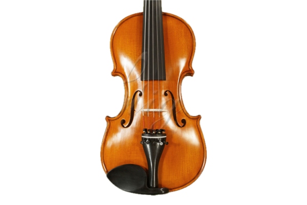 Vioara 4/4 Gems 2 (student) cu 5 corzi Vioara 4/4 Gems 2 (student) cu 5 corzi
