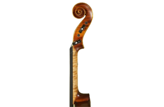 Vioară 4 / 4 stângaci Gliga Vioara 4/4 Gama (profesional), stangaci