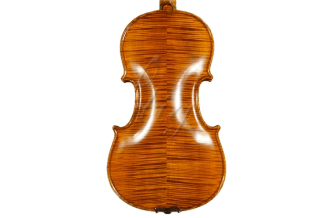 Vioară 4 / 4 stângaci Gliga Vioara 4/4 Gliga (maestru) , stangaci