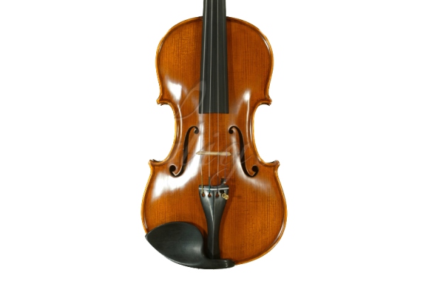 Vioara 1/2 Gama (profesional), spate intreg Vioara 1/2 Gama (profesional), spate intreg