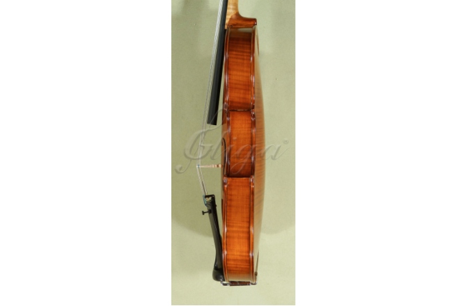 Vioară acustică 4/4 Gliga  4/4 Gems 1 (student avansat)
