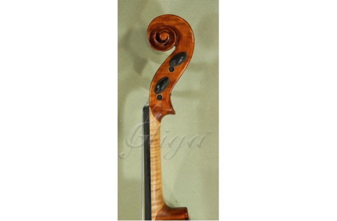 Vioară acustică 4/4 Gliga  4/4 Gems 1 (student avansat)