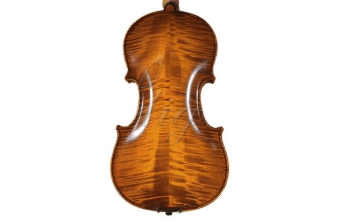 Vioară acustică 4/4 Gliga 4/4 Gliga Antic (maestru) (an 1997-06.02)