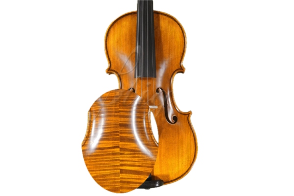 Vioara 4/4 Gliga Extra (maestru) (an 2000-03.16) Vioara 4/4 Gliga Extra (maestru) (an 2000-03.16)
