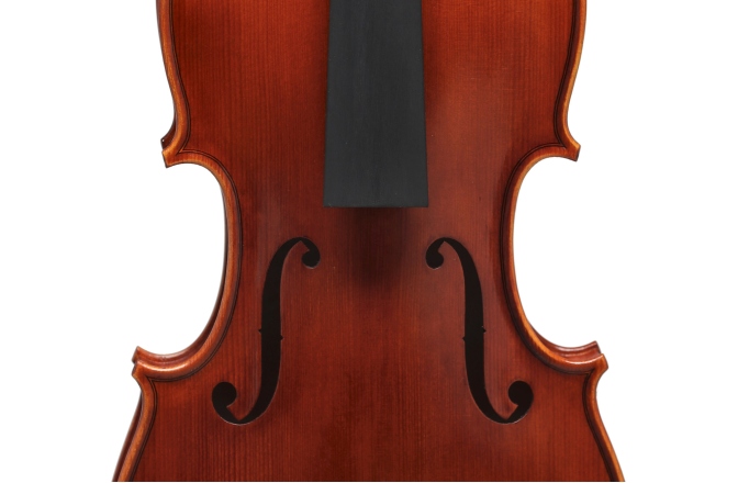 Vioara acustică Gewa Europa Maestro 4/4