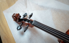 Vioară acustică Hora Reghin Academy ''Ochi de pasăre''