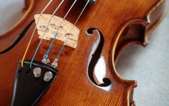 Vioară acustică Hora Reghin Academy ''Ochi de pasăre''