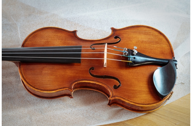 Vioară acustică Hora Reghin Academy ''Ochi de pasăre''