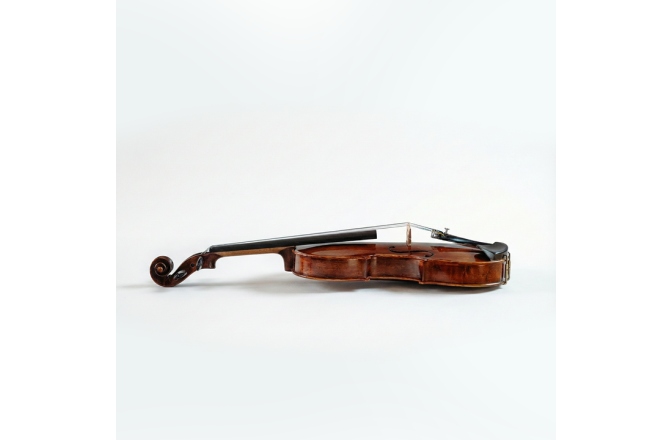 Vioară acustică Hora Reghin Academy ''Ochi de pasăre''