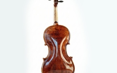 Vioară acustică Hora Reghin Academy ''Ochi de pasăre''