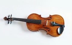 Vioară acustică Hora Reghin Academy ''Ochi de pasăre''