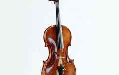 Vioară acustică Hora Reghin Academy ''Ochi de pasăre''