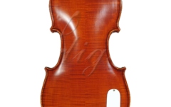 Vioară electrică 4 / 4 Gliga Vioara 4/4 Gems 1 electro-acustica