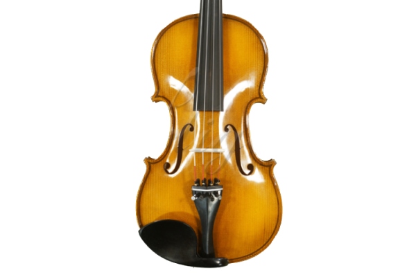 Viola 14” (35,5 cm) Genial 2 (incepator) - Lac Nitro
