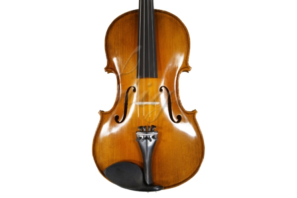 Viola 15” (38,2 cm) Genial 2 (incepator) - Lac Nitro