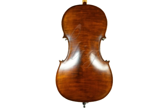 Violoncel 1/2 Gliga Violoncel 1/2 Gems 2 (student) antic special