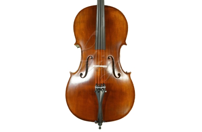 Violoncel 1/2 Gliga Violoncel 1/2 Gems 2 (student) antic special