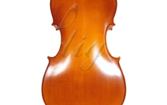 Violoncel 1/2 Gliga Violoncel 1/2 Genial 1 (scoala)