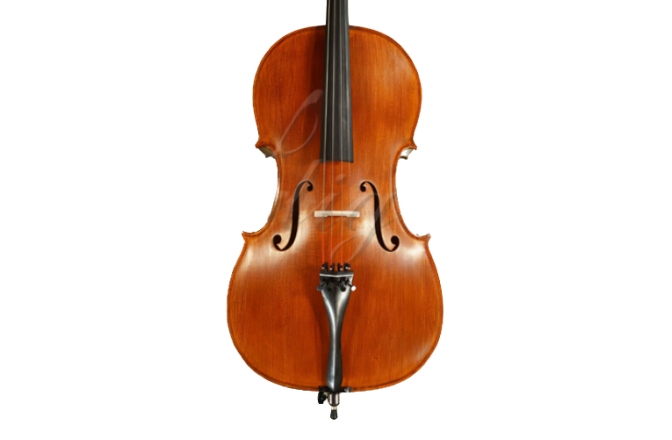 Violoncel 3/4 Gliga Violoncel 3/4 Gems 1 (student avansat)