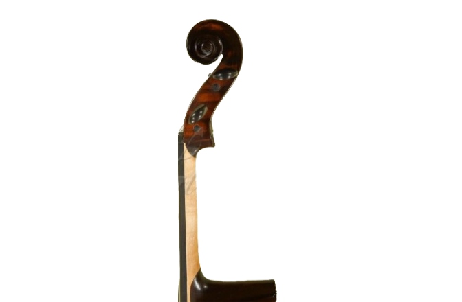 Violoncel 4/4 Gliga Violoncel 4/4 Gems 1 (student avansat) antic special